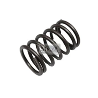 Tba Valve Spring 001 Stock 02/101969A