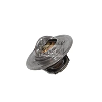 Thermostat 02/100071