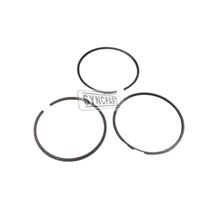 Piston Ring 02/203093