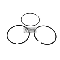 Piston Ring 02/201804