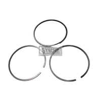 Piston Ring +1Mm 320/09296