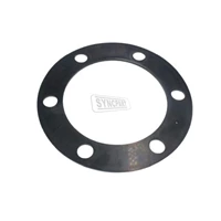 Gasket 813/00466