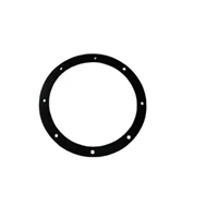 Gasket 813/00329