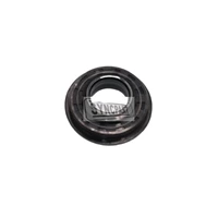 Seal Lip 813/00385