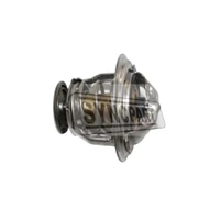 Thermostat 02/800829