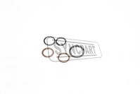 JCB Spare Parts  Kit seal  25/220533